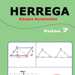 Herrega Kutaa 7ffaa